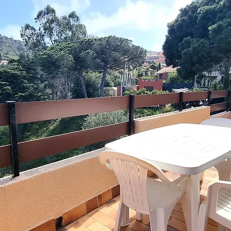 Port-vendres : T2 Avec Terrasse Et Parking - Fr-1-309-215 Appartement *